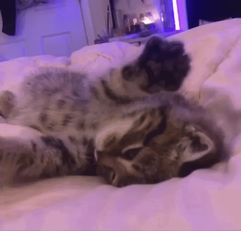 Sleepy